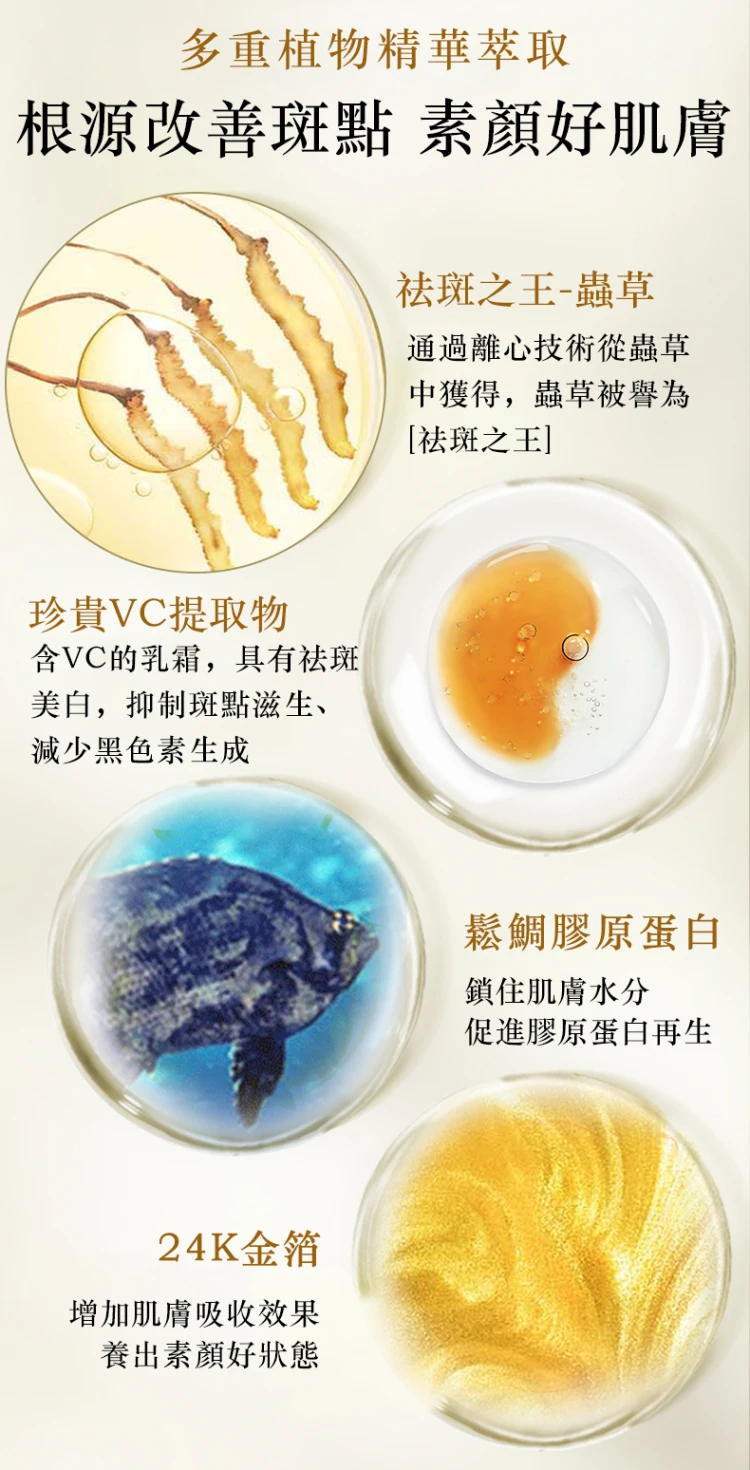 ecd42504b3b2405b594bf7db33666ff.png