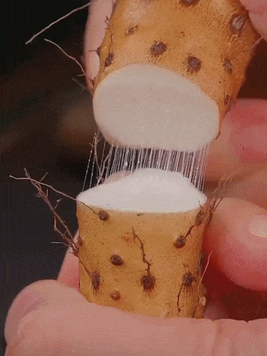 38b786bc9a5c7677fcf87fba26114210.gif